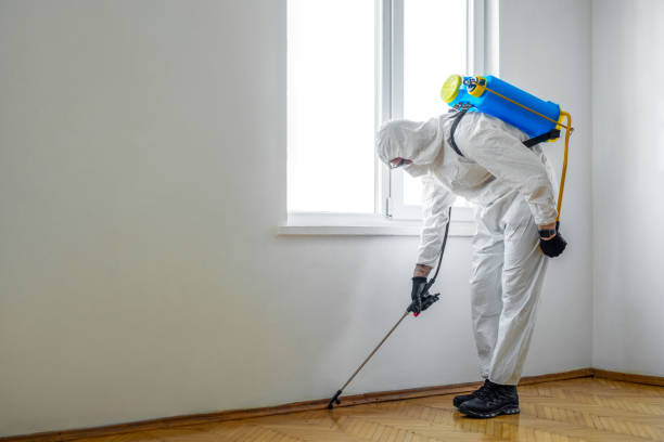 Best Pest Control Treatment  in USA